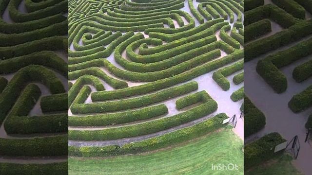 43 #КОНСУЛЬТАЦИИ И #ОБУЧЕНИЕ