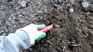 На распашке с МТ-705. Мои находки на китайский металлоискатель аналог X-TERRA 705