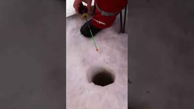 Ёты-пур смотреть онлайн