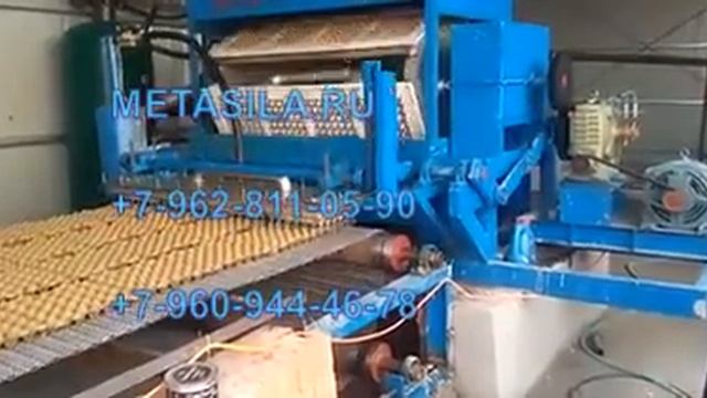 Линия по производству лотков для яиц FN-54 (3000 шт/ч) смотреть онлайн