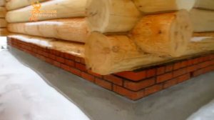 Баня из осины в чашу & Обзор через пол года!