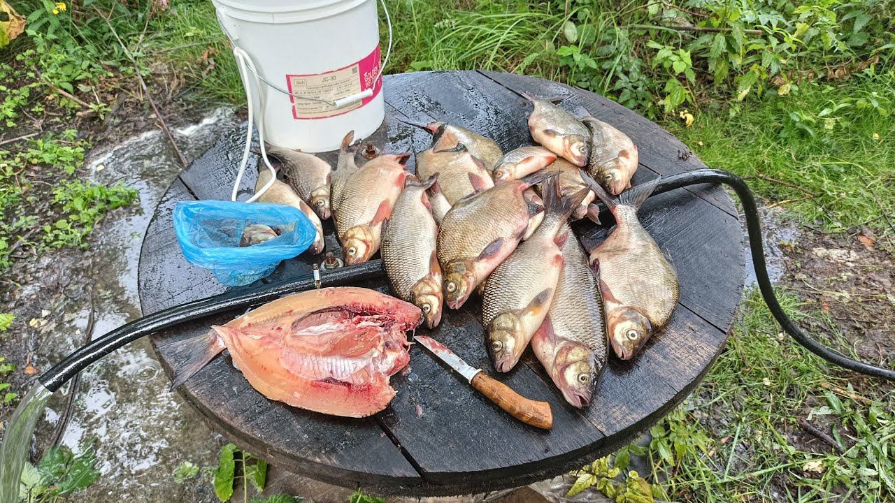 Кратко о рыбалке 29.07.2024г. смотреть онлайн