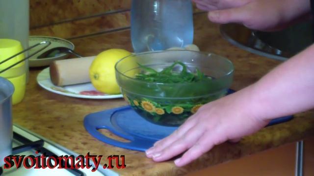 Тархун или лимонад из эстрагона смотреть онлайн