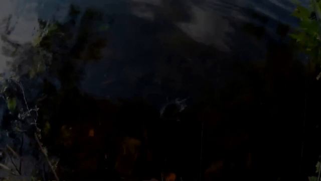 Ловля окуня на мормышинг смотреть онлайн