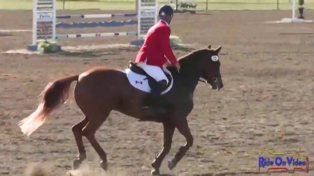 022S James Atkinson - Gustav Open Intermediate Stadium Jumping Twin Rivers Ranch March 2013 смотреть онлайн