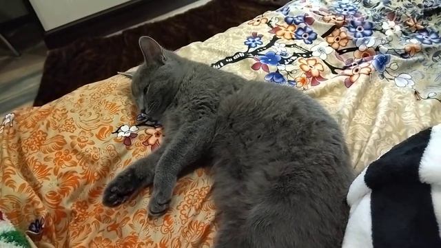 "Симулянтка", перед походом к врачу. Маруся-актриса смотреть онлайн