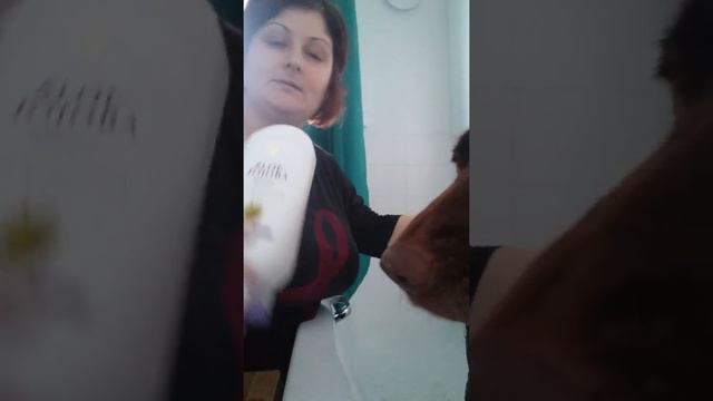 Forever Living Aloe-Jojoba Shampoo is great for animals too! смотреть онлайн