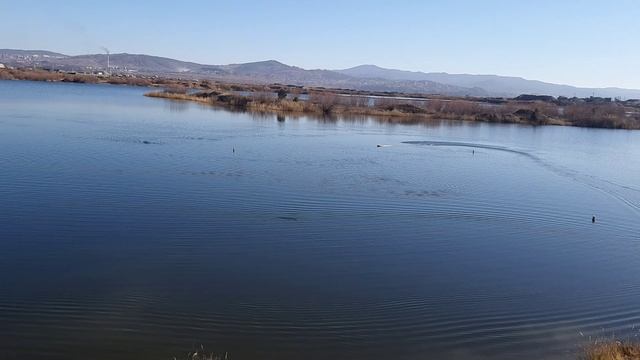 FSR-E  Полтавцева А.