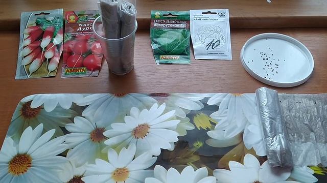 КАПУСТА и РЕДИС.Посадка на рассаду без земли. смотреть онлайн
