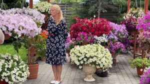 Выбор истинных профи. Ампельная петуния ЭКЛИПТИКА!