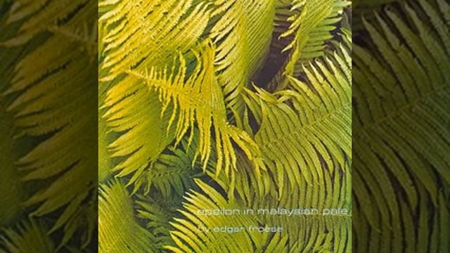 Edgar Froese - Epsilon In Malaysian Pale [1975]