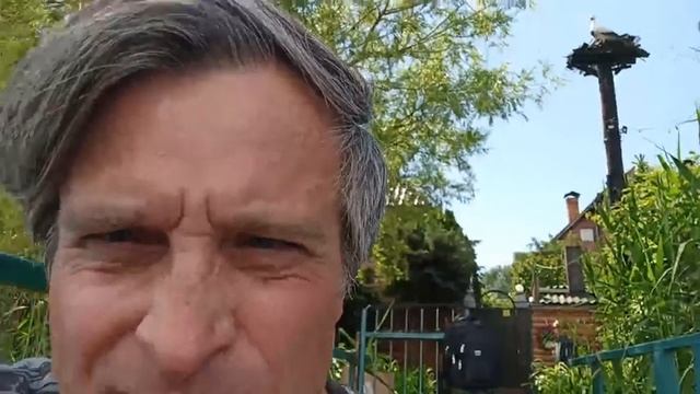 ЗАТЯНУВШИЙСЯ ОБЕДЕННЫЙ ПЕРЕРЫВ / ОЗЕРО РАДУНКА (РАДУГА) / ГОРОДСКАЯ ЭЛЕКТРИЧКА: КАК ЕЗДИТЬ БЕСПЛАТН смотреть онлайн