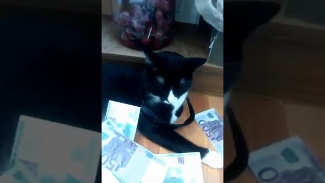 Ты буди пока не крути смотреть онлайн