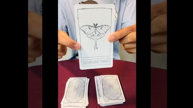 Oracle Deck Review: Postcards from the Liminal Space смотреть онлайн