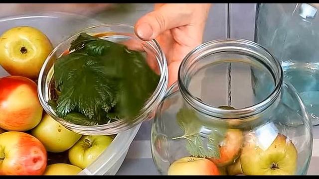 Моченые яблоки рецепт. Как сделать моченые яблоки в домашних условиях смотреть онлайн