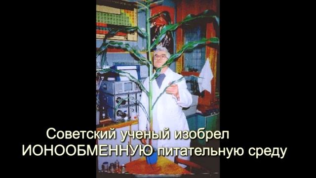 i-ponics - шагай в будущее вместе с нами! Будь современным, будь в топе! Достигай высот на простоте смотреть онлайн