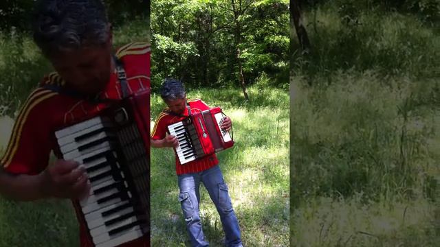 Миче музиканта смотреть онлайн