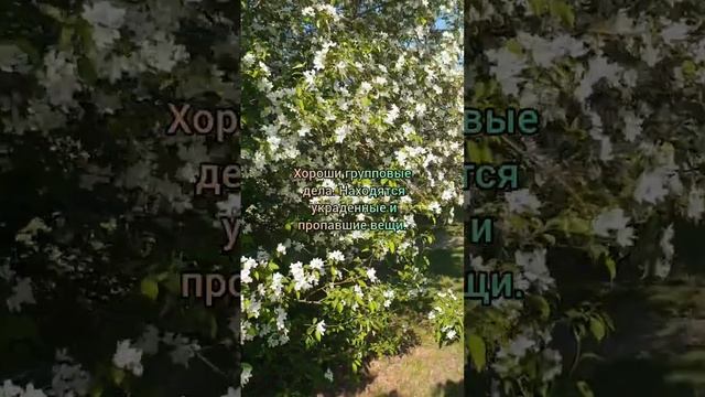 лунный календарь 24.05.23 #астрология #лунныйкалендарь #астропрогнознакаждыйдень смотреть онлайн