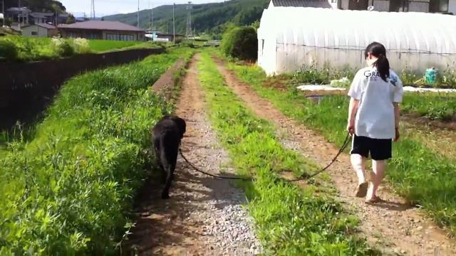 моя деревня смотреть онлайн