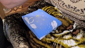 Как быстро и элегантно заправить подушку 50/70 наволочкой 70/70