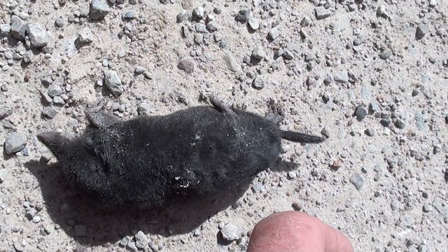 крот смотреть онлайн