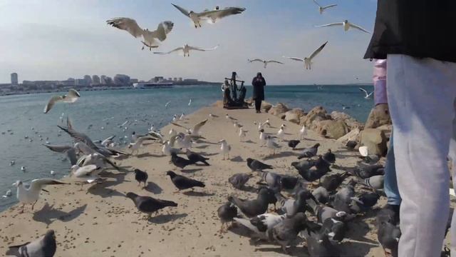 travel is my life?✨|| ОТЕЛЬ ПРИМОРЬЕ! ГЕЛЕНДЖИК~шведский стол,море~МОСКВА/ ГУМ/ Красная Площадь смотреть онлайн