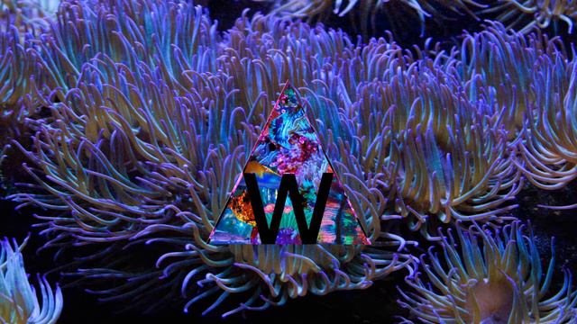 Grimes - Go ft. Blood Diamonds (Matthew Bauer edit) смотреть онлайн