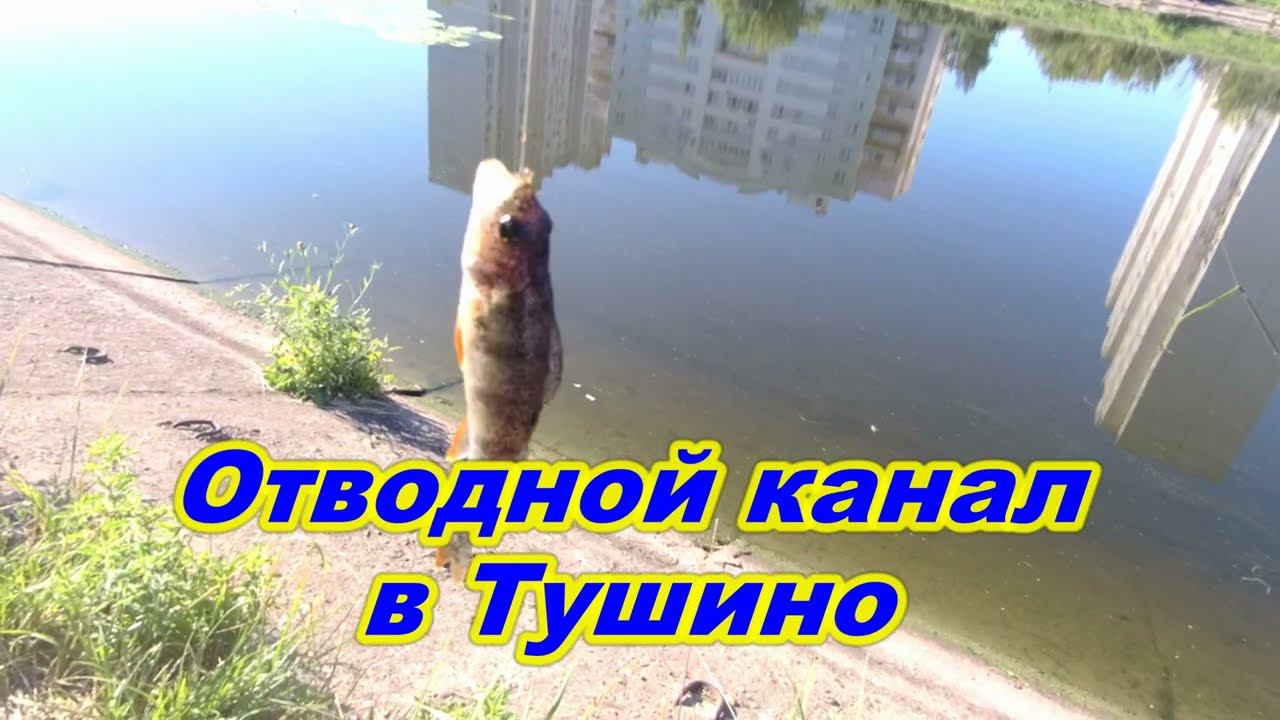 Отводной канал.21.07.2024 смотреть онлайн