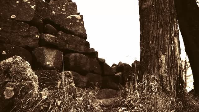 WFM x LEM - Воля