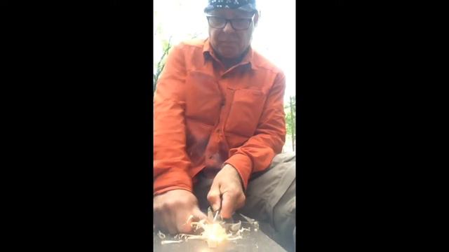 Dampish wood into ugly feather stick and flame: using ferro rod смотреть онлайн
