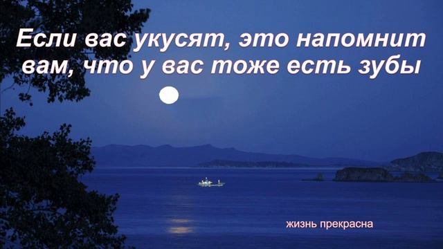 мудрость арабского народа смотреть онлайн