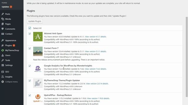 How to update WordPress Plugins and Themes смотреть онлайн