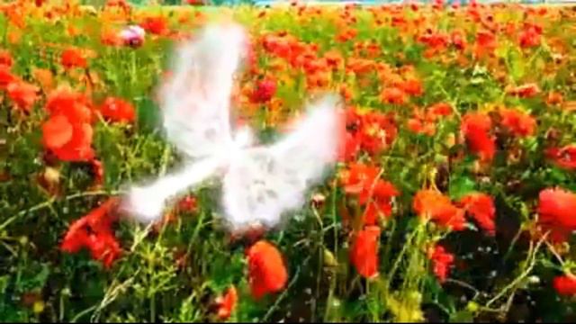 MENSAJE de los ÁNGELES PARA TI 💌ARCÁNGEL SANDALFON💌NO TE RINDAS💥CUIDA DE TI MISMO💥AUTOCOMPASION смотреть онлайн