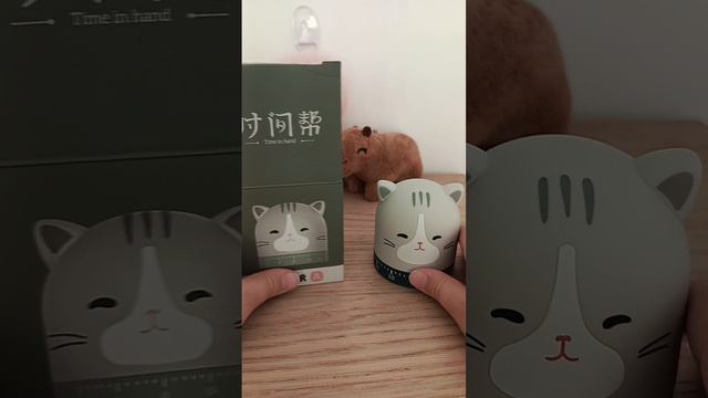 Таймер котик обзор