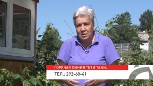 Голова садовая - ПОЛЕЗНО! Подкормка грунтовых томатов