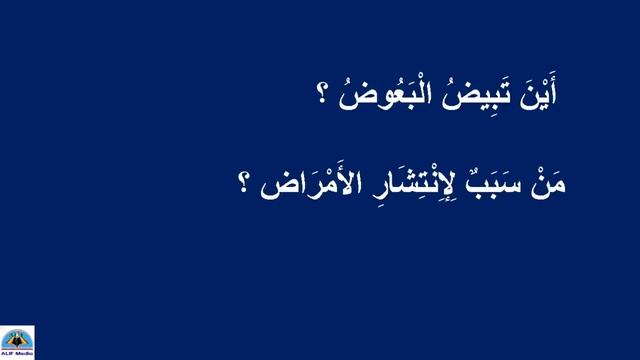 class 4 Arabic |പഠനപ്രവര്ത്തനങ്ങള് | page76 78 смотреть онлайн
