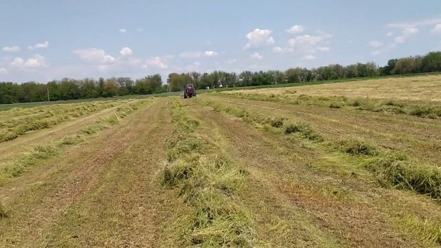 Граблі Сонечко загрібаєм люцерну смотреть онлайн