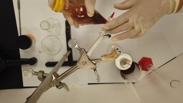 Caffeine Extraction And Separation