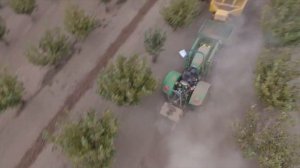 Фундук, уборка урожая, США. KCK Farms, video 2.