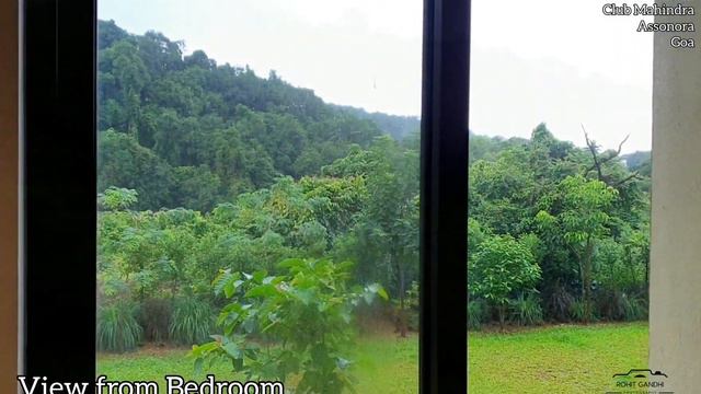 Studio Room at Club Mahindra Assonora Goa- Forest View Room Tour- 1BR Room Tour of Club Mahindra смотреть онлайн