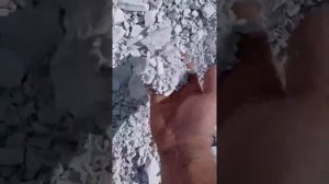 Мел Карьер Севрюково первые дни октября2020 Мел Белогорья Мел для еды. food grade chalk. calcium