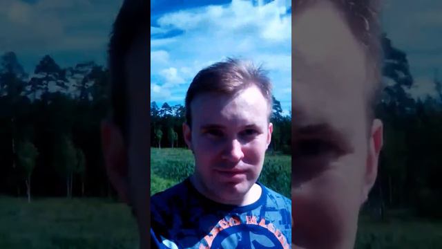 "Скелет" моста через речку Тёплая - между Мариенбургом и Гатчиной ; 2.08.2016г. смотреть онлайн