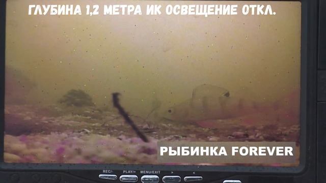 ?Ловля плотвы с подводной камерой. ?Когда рыба срывается с крючка, что она делает? Рыбинка FOREVER! смотреть онлайн