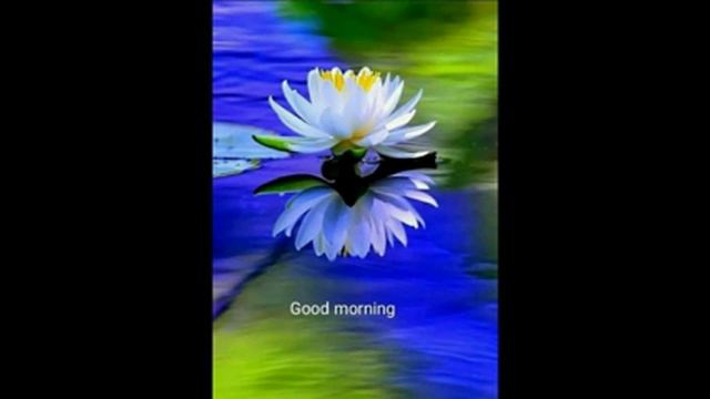 Влад. Семенов В ПОИСКАХ ЛОТОСА ч.2