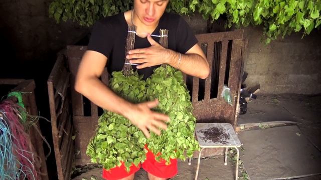 Березовые веники для Авито | Березовые веники купить смотреть онлайн