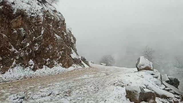 Зимистони Дехот Ромит 2023 смотреть онлайн