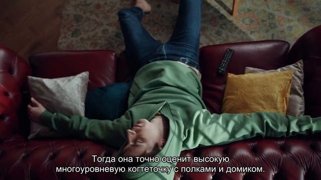 Что подарить кошке на Новый год? смотреть онлайн