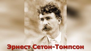 Арно. Краткое содержание