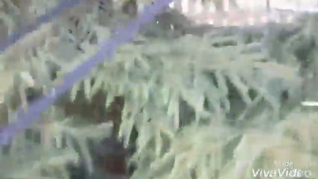 Новогодние каникулы -2 !!!?❄⛄ смотреть онлайн