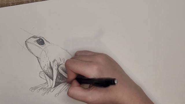HOW TO DRAW A FROG!!!КАК НАРИСОВАТЬ ЛЯГУШКУ!!! смотреть онлайн